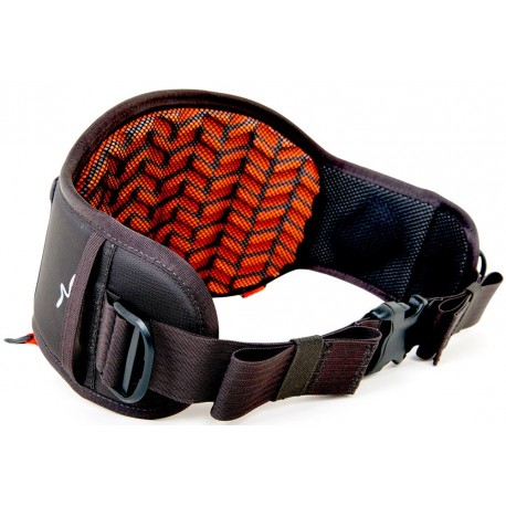 Cinturon Lumbar Guideline EXPERIENCE