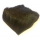 Corzo Trozo de Piel - Roe Deer Winter Hair