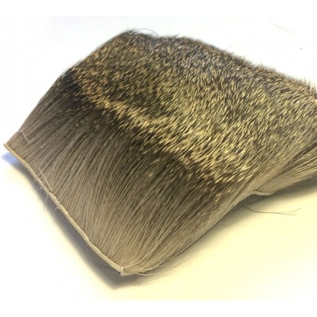 Corzo Trozo de Piel - Roe Deer Winter Hair