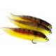 Flecha Yellow Tiger