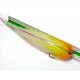Flecha Yellow - Whitte