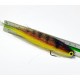 Flecha Yellow Tiger