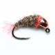 PIA29 Cuepo oreja liebre tag