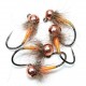 NP 30  Ninfa Calabaza