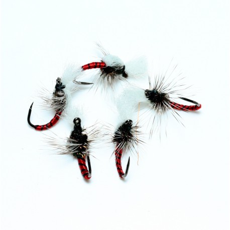 BB39  Quiro Quill Rojo