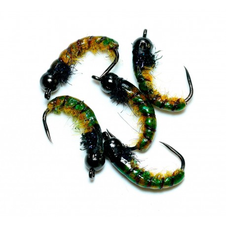 BB40  Rhiacophilia Cabeza negra