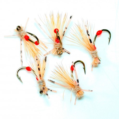 SB03  Hooper Crema
