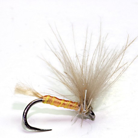 HV71  Fanta Carne Molino 277 exubia P. 3256