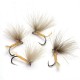 HV71  Fanta Carne Molino 277 exubia P. 3256