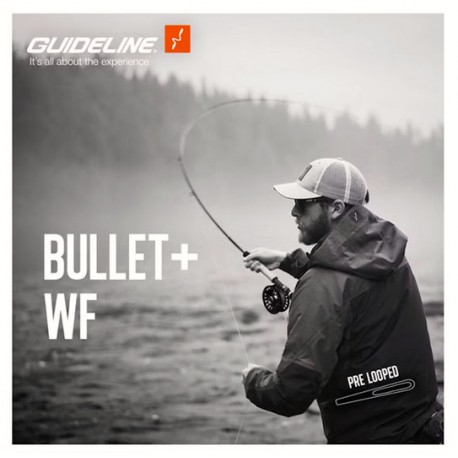 Linea Guideline BULLET Plus