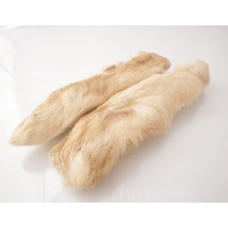 Patas de Liebre Artica - PLA