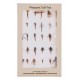 Patagonia Fly Box - Pheasant Tail Flies