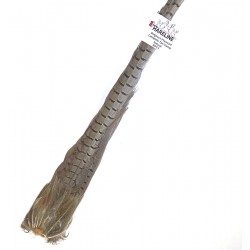 Cola Completa Faisan Hareline