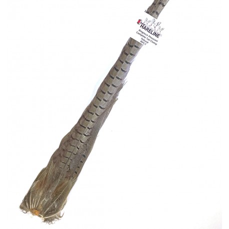 Cola Completa Faisan Hareline