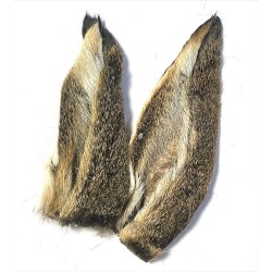 Orejas de Liebre Natural JMC