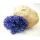 Chenille Cactus Medium Purple