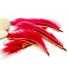 Culebrilla Conejo Red