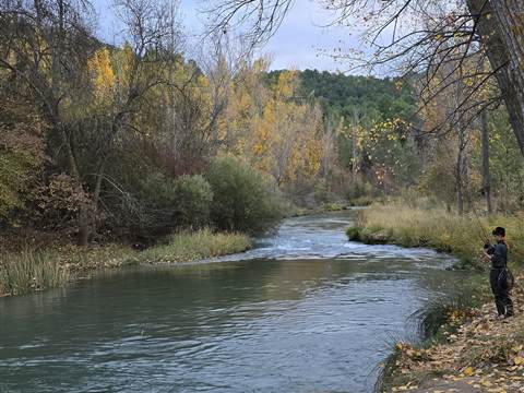 Salida del Club al río en otoño