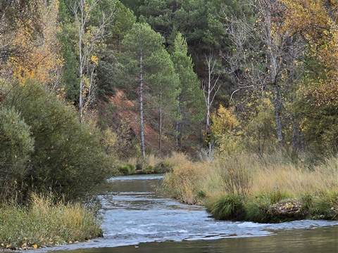 El río en otoño