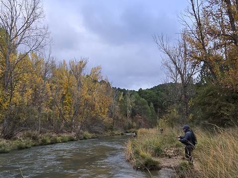 Pescando en el río