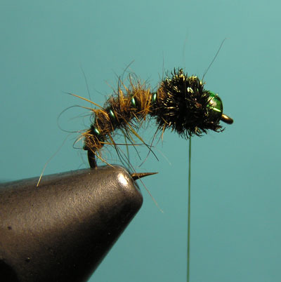 Montaje de una ninfa de cabeza verde