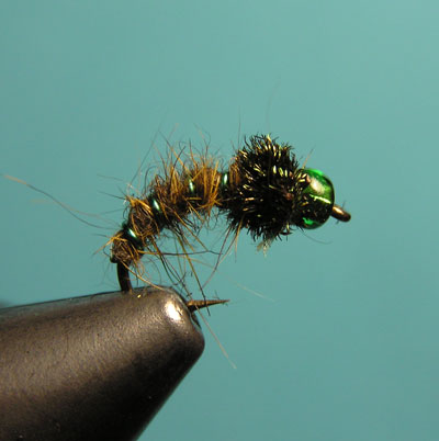 Montaje de una ninfa de cabeza verde
