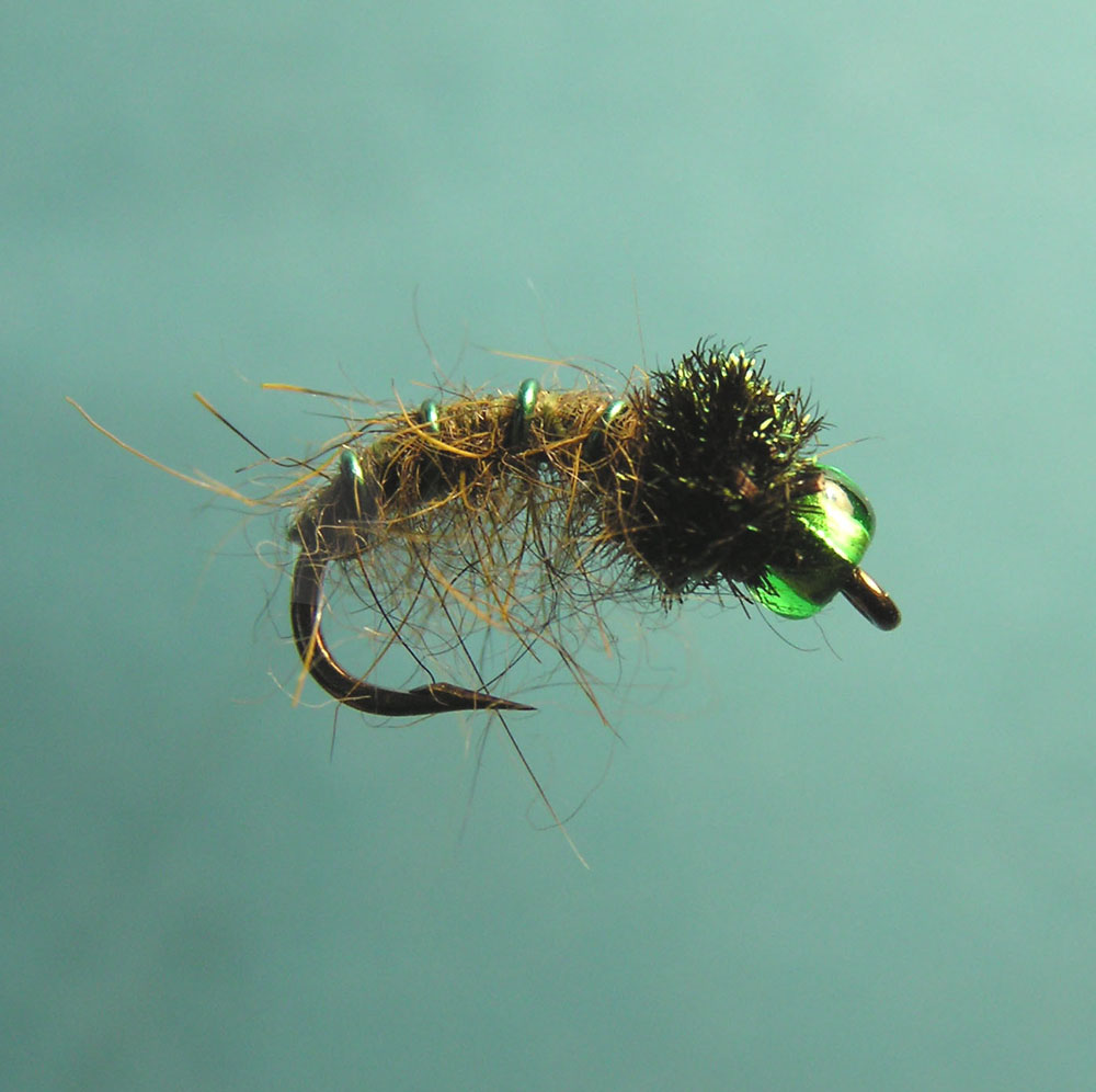 Montaje de una ninfa de cabeza verde
