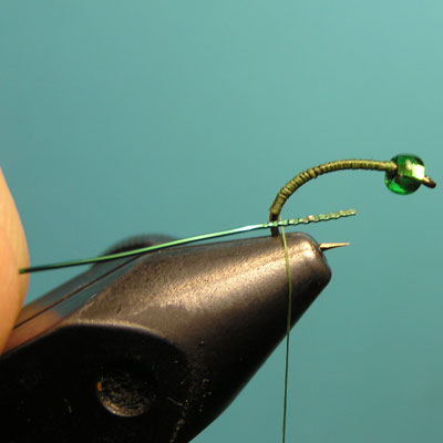 Montaje de una ninfa de cabeza verde