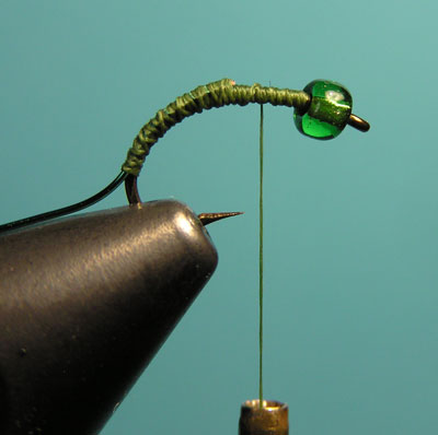 Montaje de una ninfa de cabeza verde