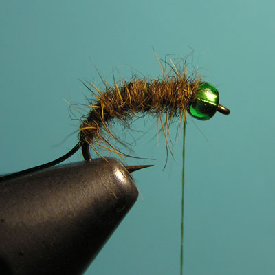 Montaje de una ninfa de cabeza verde