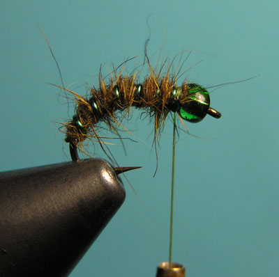 Montaje de una ninfa de cabeza verde