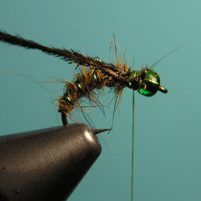 Montaje de una ninfa de cabeza verde