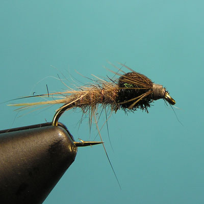 Montaje de una ninfa